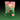 Taffy Town Peg Bag - SOUR MELON SASSY Salt Water Taffy (3.5oz)