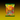 Mexican - Jovy Pika Chili covered Watermelon Sliced Lollipop Candy 10 pack